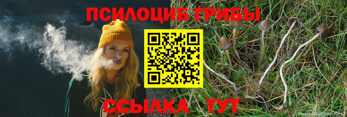 Псилоцибиновые грибы MAGIC MUSHROOMS  Галлюциногенные грибы мухоморы  Асино  Вход с VPN 