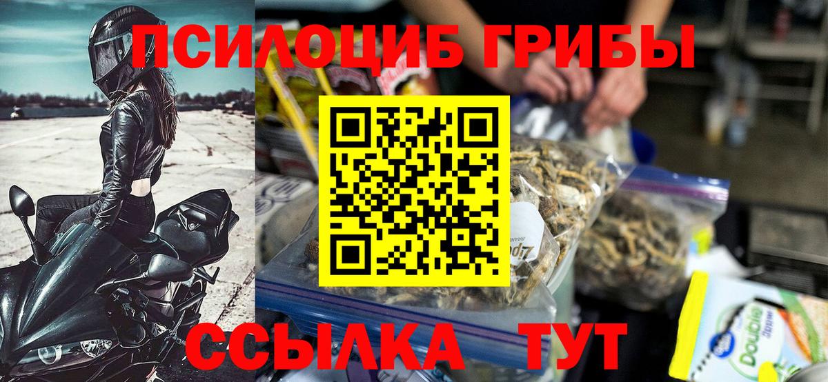 Псилоцибиновые грибы GOLDEN TEACHER Асино